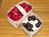 Новый продукт - клюква в шоколаде Новый продукт - клюква в шоколаде